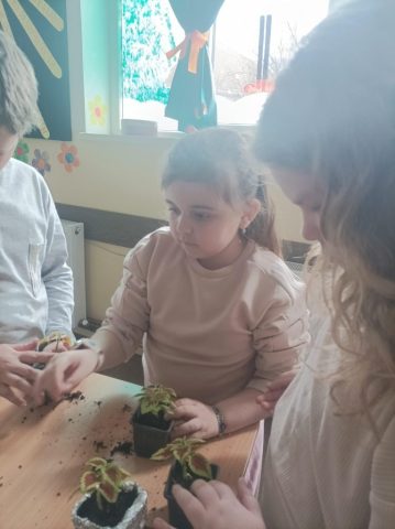 цвеће за осмех7 (1)