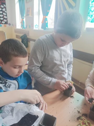 цвеће за осмех7 (2)