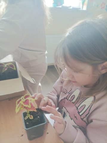 цвеће за осмех7 (3)