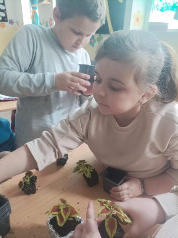 цвеће за осмех7 (5)