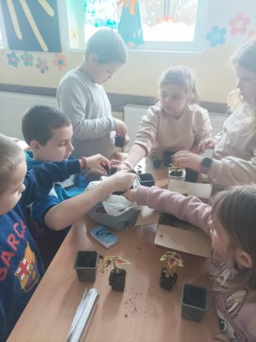 цвеће за осмех7 (6)