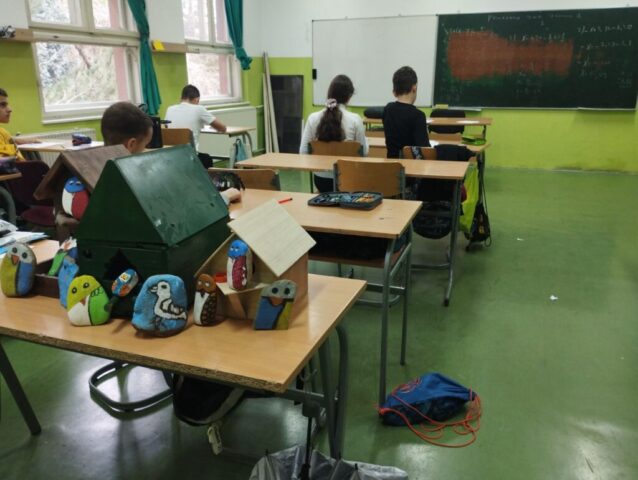 ПТИЦЕ МОГА КРАЈА11