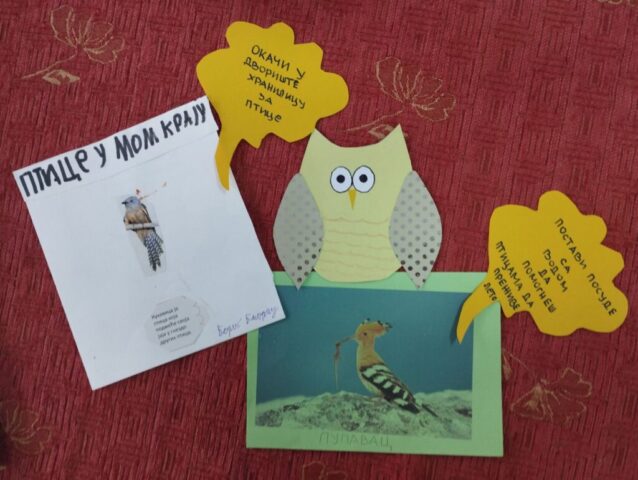 ПТИЦЕ МОГА КРАЈА14