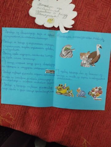 ПТИЦЕ МОГА КРАЈА16