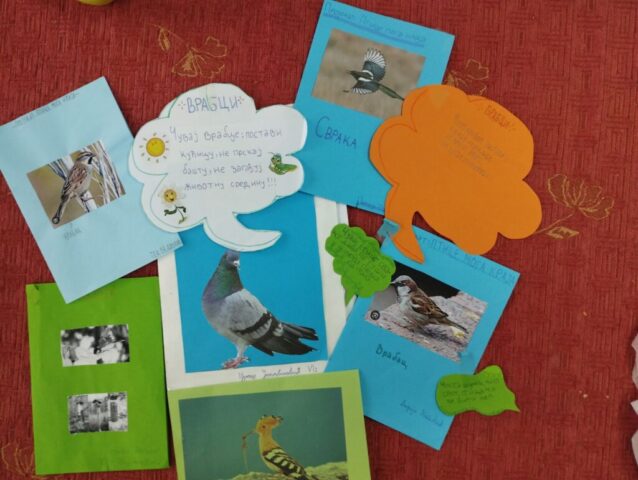 ПТИЦЕ МОГА КРАЈА19