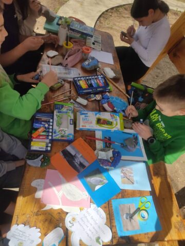 ПТИЦЕ МОГА КРАЈА22