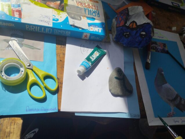 ПТИЦЕ МОГА КРАЈА5